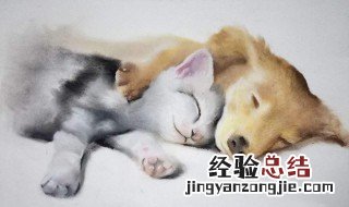 做梦梦见自己养的狗丢了是什么意思 做梦梦到自己养的狗丢了是什么意思