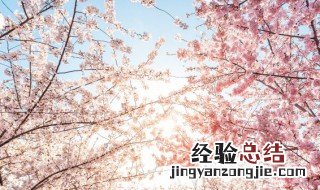 樱花cheese分层蛋糕的做法 樱花cheese分层蛋糕怎么做