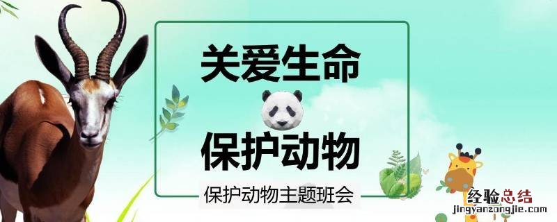 保护动物有哪些措施 保护动物有哪些