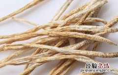 太子参泡水喝的功效与作用 太子参泡水喝的功效与作用禁忌是什么