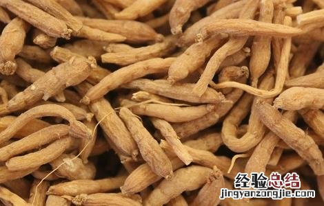 太子参泡水喝的功效与作用 太子参泡水喝的功效与作用禁忌是什么