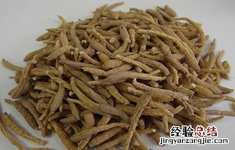 太子参泡水喝的功效与作用 太子参泡水喝的功效与作用禁忌是什么