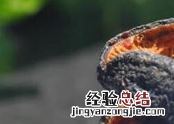 海参皮怎么泡发快 海参皮怎么泡发