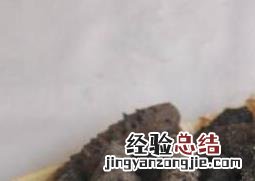海参皮怎么泡发快 海参皮怎么泡发