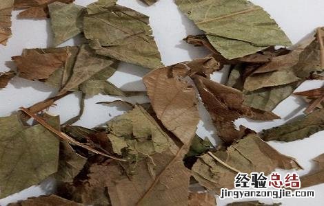 葫芦茶的功效与作用图片 葫芦茶的功效与作用