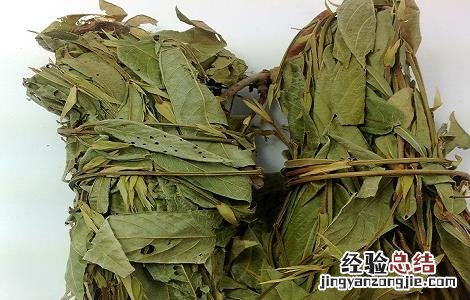 葫芦茶的功效与作用图片 葫芦茶的功效与作用