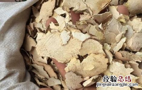 茯苓的功效与作用 茯苓皮的功效与作用
