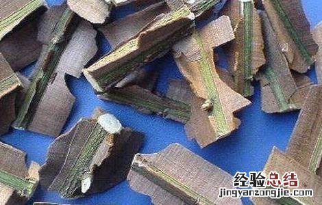 鬼箭羽的功效与作用 鬼箭羽的功效与作用图片