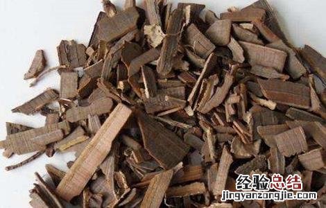 鬼箭羽的功效与作用 鬼箭羽的功效与作用图片
