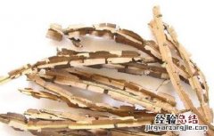 鬼箭羽的功效与作用 鬼箭羽的功效与作用图片