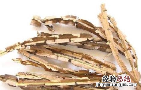 鬼箭羽的功效与作用 鬼箭羽的功效与作用图片