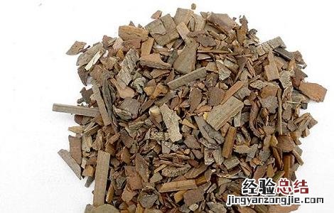 鬼箭羽的功效与作用 鬼箭羽的功效与作用图片