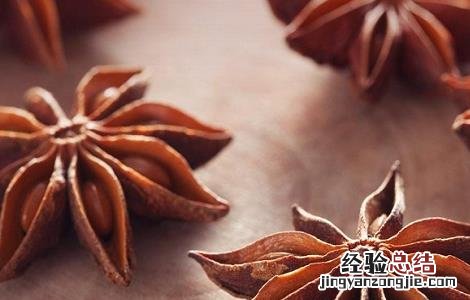 大茴香的功效与作用 小茴香与大茴香的功效与作用