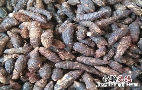 香附子的功效与作用 香附子的功效与作用和主治与用量