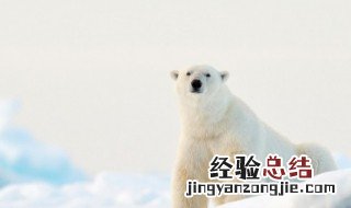 整个朋友圈都在下雪的说说 朋友圈下雪了说说