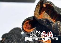 海参皮与海参的区别 参皮和海参的区别