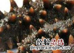 海参皮与海参的区别 参皮和海参的区别