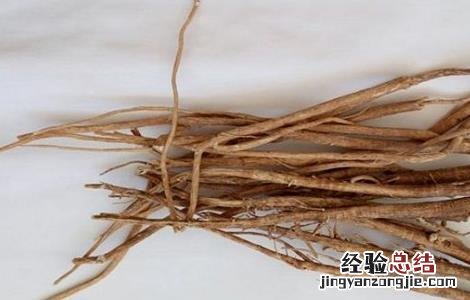 麻黄根的功效与作用及禁忌症 麻黄根的功效与作用
