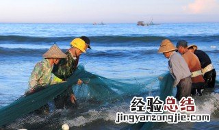 嘌呤最低的鱼 嘌呤最低的鱼有哪些