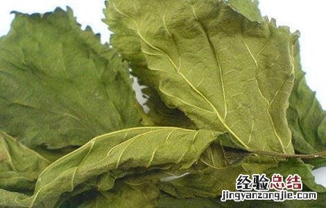 桑叶的功效与作用及使用方法及禁忌 桑叶的功效与作用及使用方法