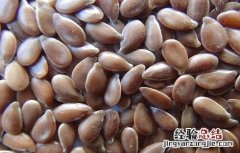 亚麻籽的功效与作用的功能与主治 亚麻籽的功效与作用