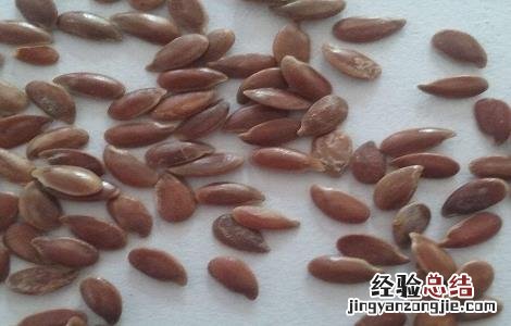 亚麻籽的功效与作用的功能与主治 亚麻籽的功效与作用