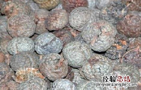 草豆蔻的功效与作用 草豆蔻的功效与作用的功能与主治