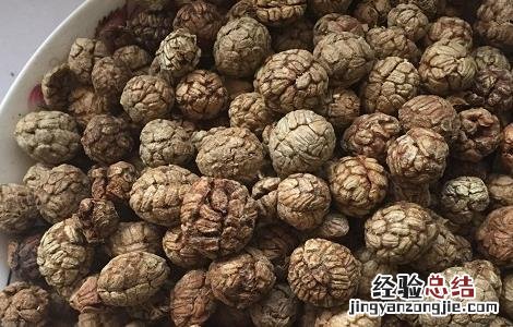 草豆蔻的功效与作用 草豆蔻的功效与作用的功能与主治