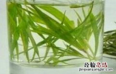 竹叶的功效与作用 竹叶泡水喝的功效与作用