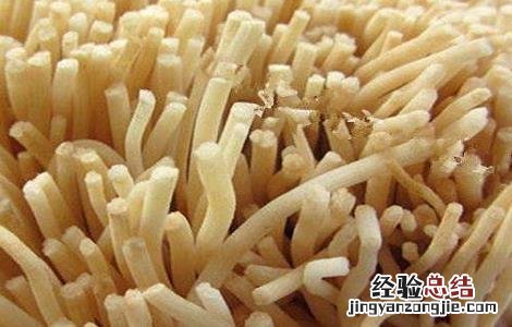 灯芯草的功效与作用 灯心草的功效与作用及禁忌