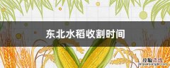 东北地区水稻收割时间 东北水稻收割时间