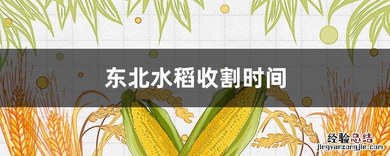 东北地区水稻收割时间 东北水稻收割时间