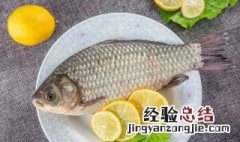 做梦梦到钓了很多鲫鱼是什么意思呀 做梦梦到钓了很多鲫鱼是什么意思