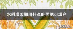 水稻灌浆期用什么叶面肥可增产 水稻灌浆肥什么时候用