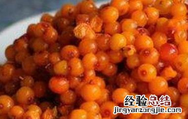 沙棘果对女人的功效与作用 沙棘果对女人的功效与作用及禁忌