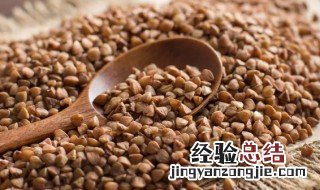 荞麦面哪个热量高 荞麦和全麦哪个热量高