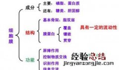 怎么区别选择透过性和流动性 通透性和流动性
