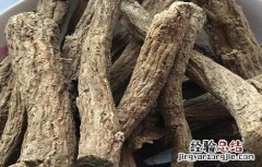 木香的功效与作用 木香的功效与作用与主治与用量
