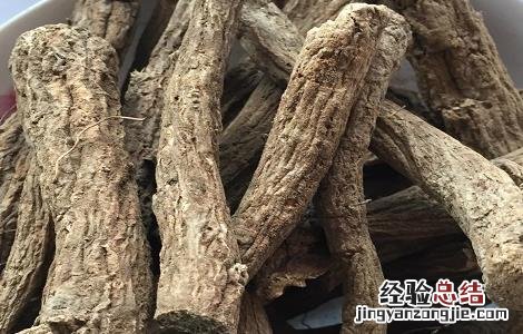木香的功效与作用 木香的功效与作用与主治与用量