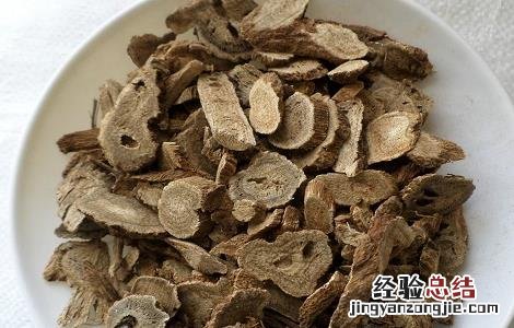 木香的功效与作用 木香的功效与作用与主治与用量