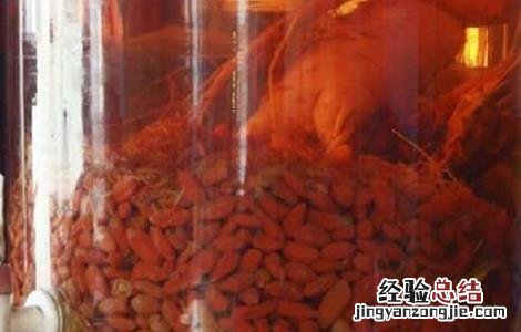 人参枸杞泡酒喝的功效及禁忌是什么 人参枸杞泡酒喝的功效及禁忌