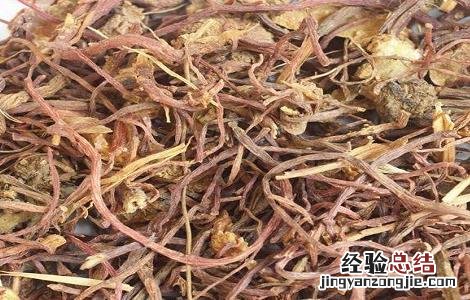 紫苑的功效与作用及副作用 紫苑的功效与作用