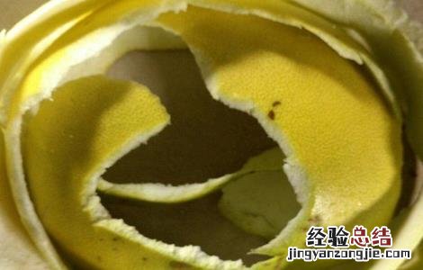 柚子皮泡水喝的禁忌是什么 柚子皮泡水喝的禁忌