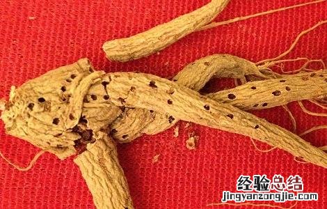 人参泡水喝的功效与禁忌 人参泡水的功效和禁忌