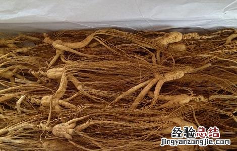 人参泡水喝的功效与禁忌 人参泡水的功效和禁忌