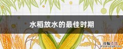 水稻放水的最佳时期 水稻什么时候放水最好