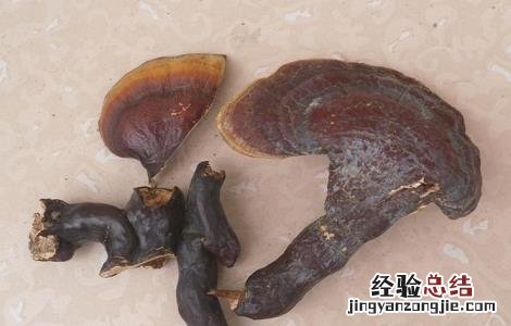 灵芝泡水喝的功效与作用 丹参灵芝泡水喝的功效与作用