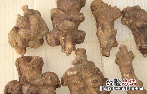 白术泡水喝的功效与作用 黄芪,防风,白术泡水喝的功效与作用