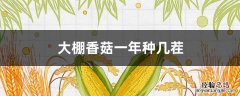 大棚香菇一年种几茬最好 大棚香菇一年种几茬