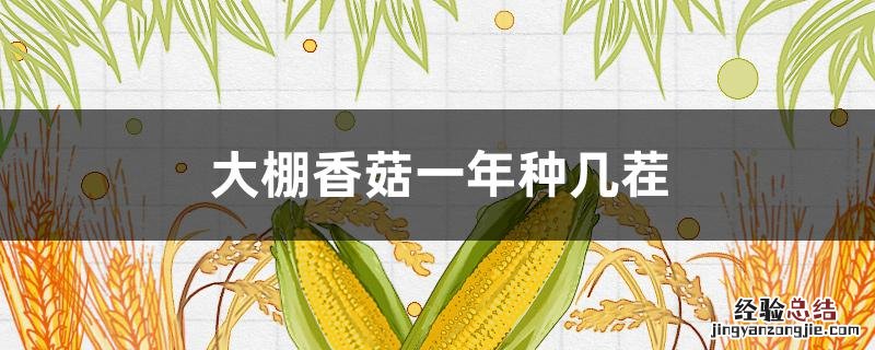 大棚香菇一年种几茬最好 大棚香菇一年种几茬